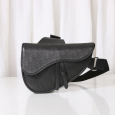 Christian Dior Saddle Bags